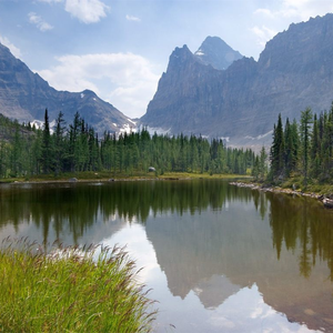 亚洲免费三级电影
