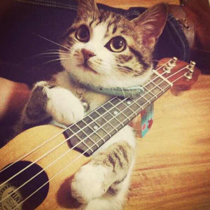 亚洲免费三级电影
