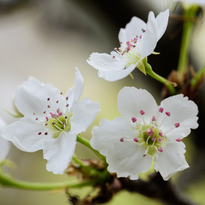亚洲免费三级电影
